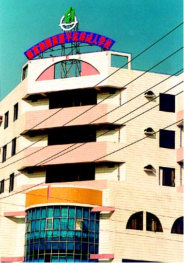 1996年